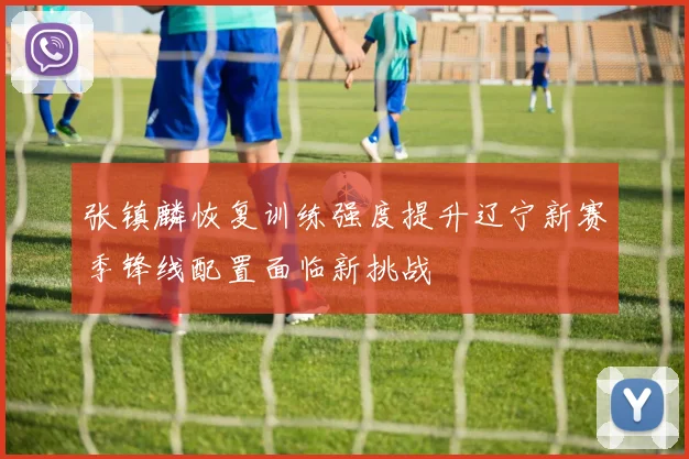 张镇麟恢复训练强度提升辽宁新赛季锋线配置面临新挑战
